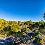 Le Sabel - Cabanon
